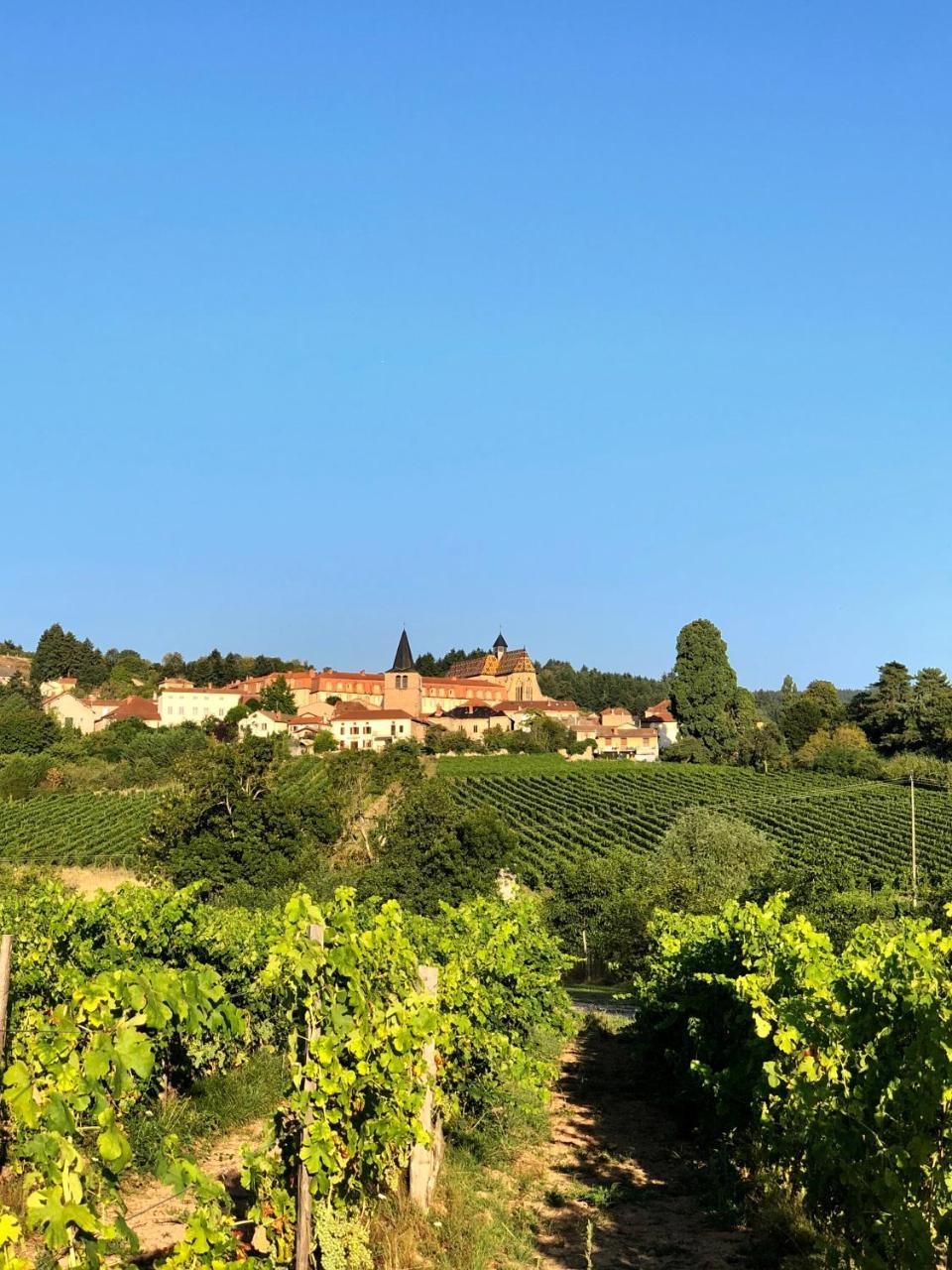 Gites Le Lancelot Ambierle Exterior photo